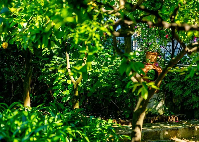 Villa Donna Elisa Sorrent