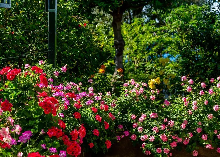 Donna Elisa Villa Sorrent