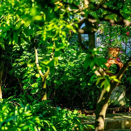 Villa Donna Elisa Península Sorrentina